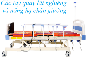 giường tập đứng đa năng