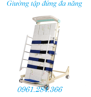 giường tập đứng đa năng