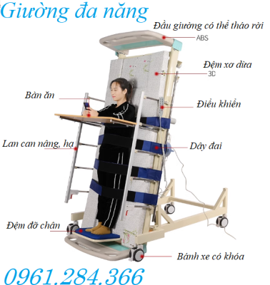 giường tập đứng đa năng